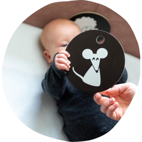 HANNIline-Kontrast-Karten-ab-3-Monat-4 Montessori Baby Sehen Fördern